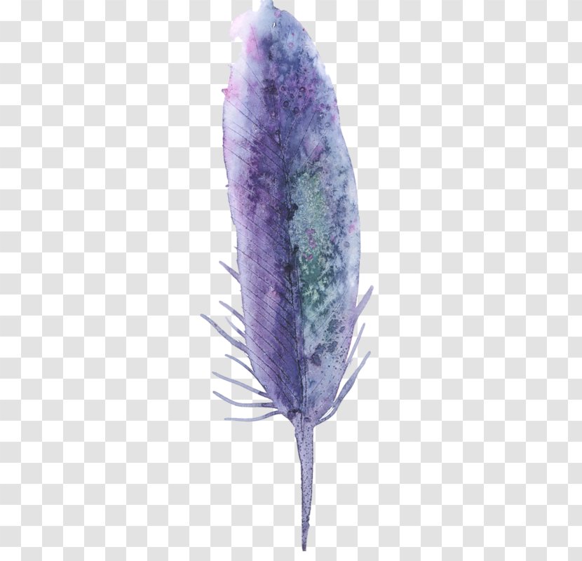 Lavender Purple Drawing Lilac Color Transparent PNG