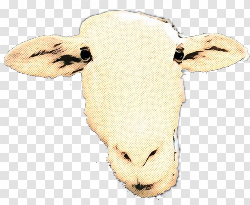 Sheep Cattle Goat Shoe Snout Transparent PNG