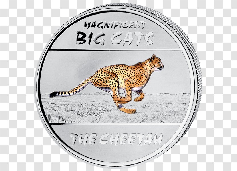 Silver Coin Cat Noble Metal - Wildlife Transparent PNG