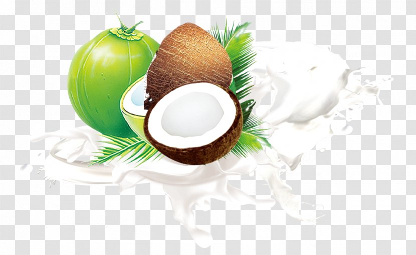 Coconut Milk Fruit Leaf - Material Transparent PNG