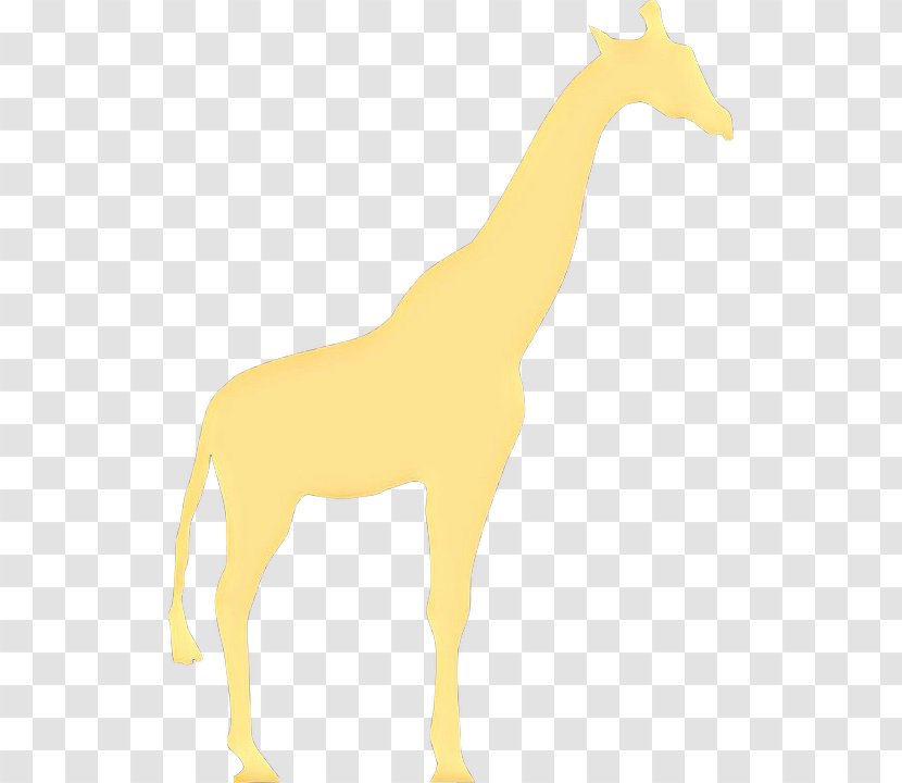 Giraffe Giraffidae Animal Figure Wildlife Terrestrial - Tail Mane Transparent PNG