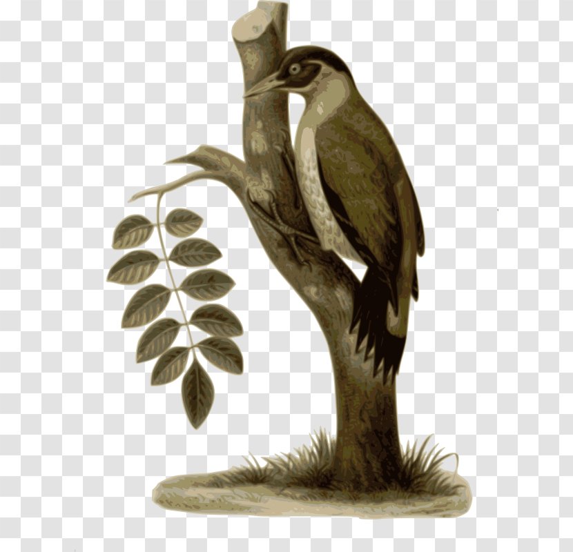 Hornbill Bird - Of Prey - Sculpture Tail Transparent PNG