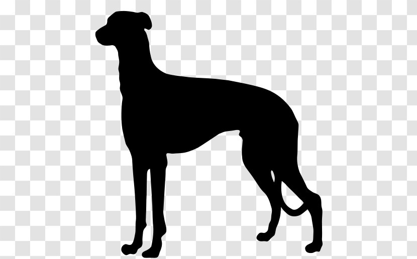 Australian Cattle Dog German Shorthaired Pointer Wirehaired Ormskirk Terrier - Silhouette Transparent PNG