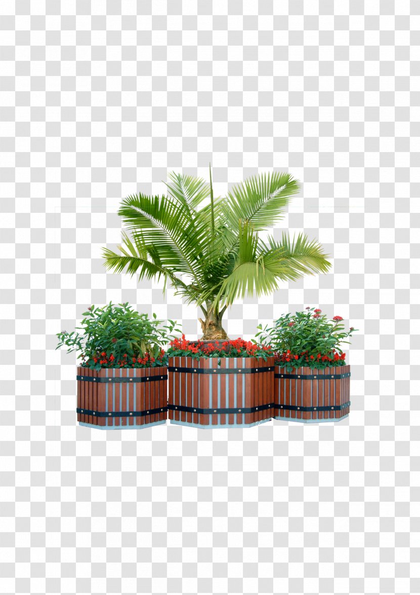 Plant Tree Window Box Shrub - Potted Trees Transparent PNG