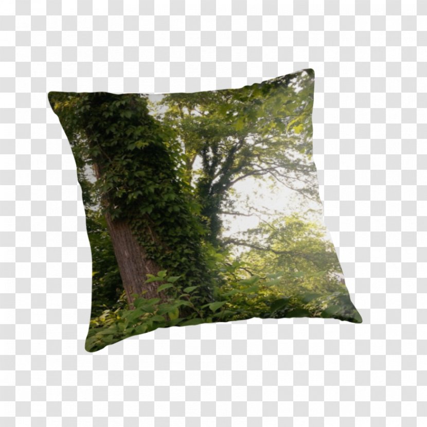 Throw Pillows Cushion Tree - Grass - Green Pillow Transparent PNG
