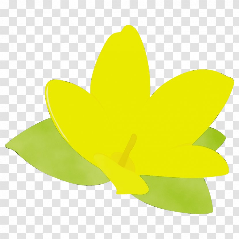 Green Yellow Leaf Wheel Plant - Symbol - Wood Sorrel Family Transparent PNG