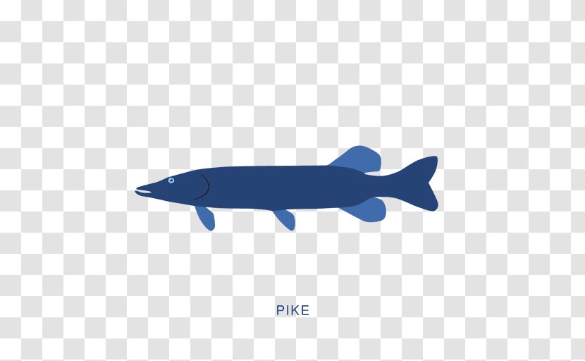 Fish Sardine Animal - Flatfish Transparent PNG