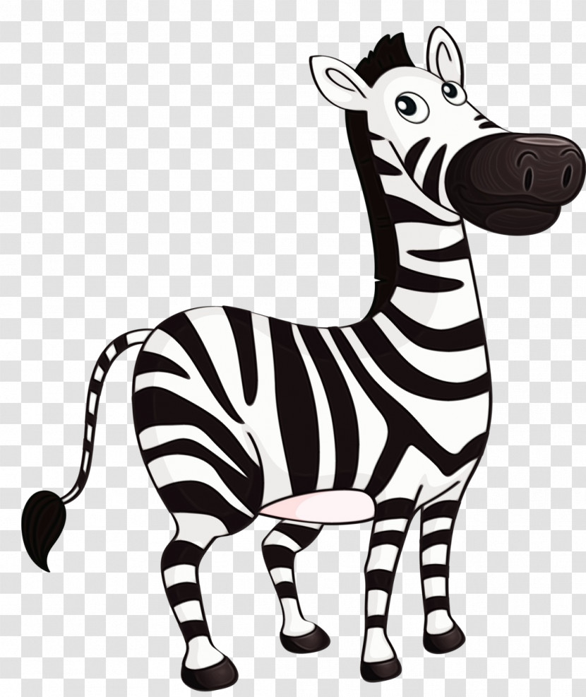 Zebra Animal Figure Cartoon Wildlife Snout Transparent PNG