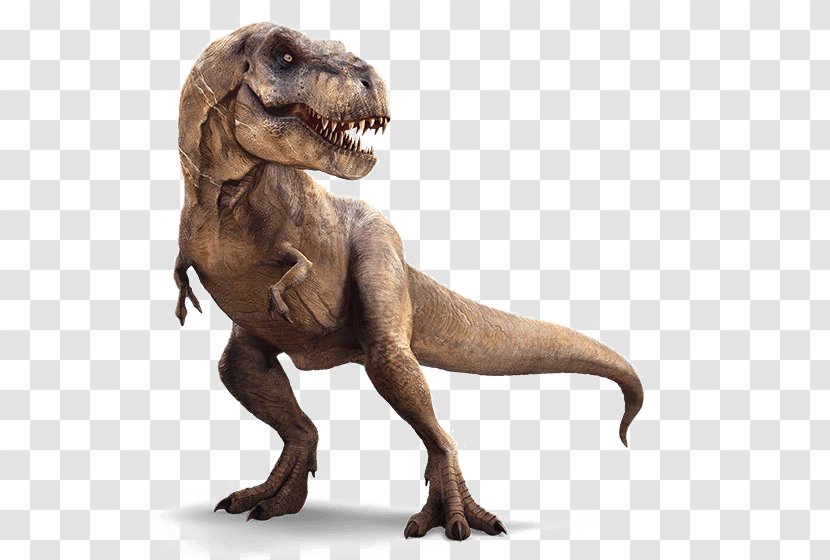 Velociraptor Carnotaurus Spinosaurus Triceratops Jurassic Park - Barnum Brown Transparent PNG