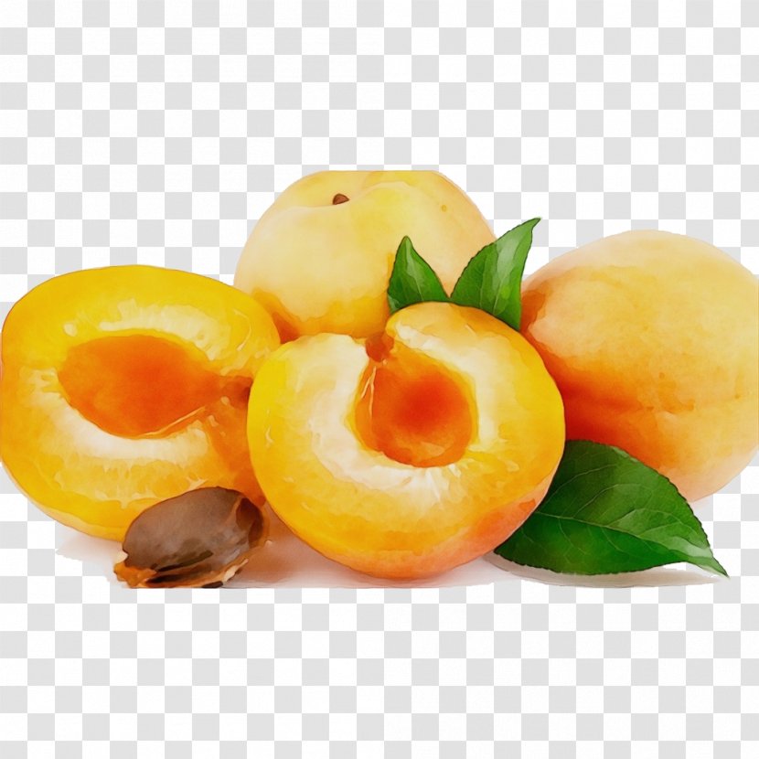 Watercolor Natural - Yellow Plum - Foods Transparent PNG