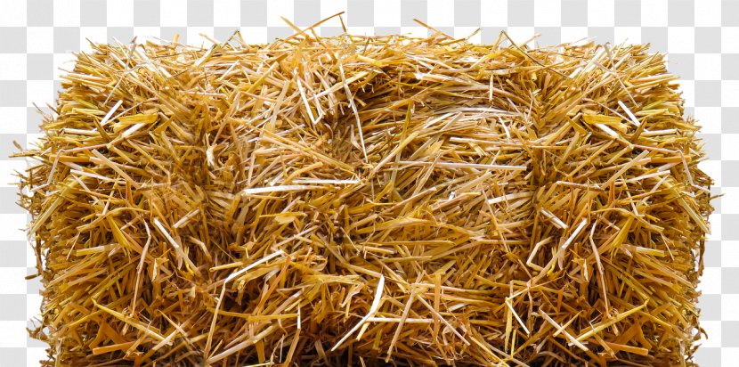 Straw-bale Construction Harvest Hay - Baler Transparent PNG