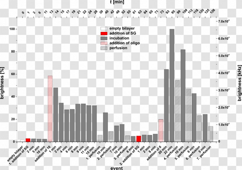 Addition Number Function Lipid Bilayer SYBR Green I - Dna - Paper Transparent PNG