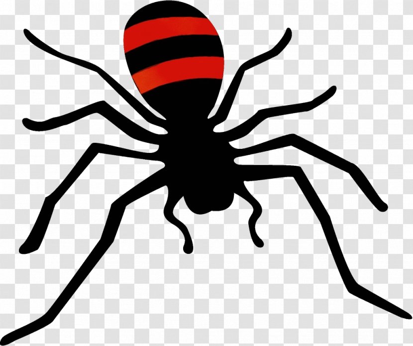 Spider Insect Black Line Widow - Pest Arachnid Transparent PNG