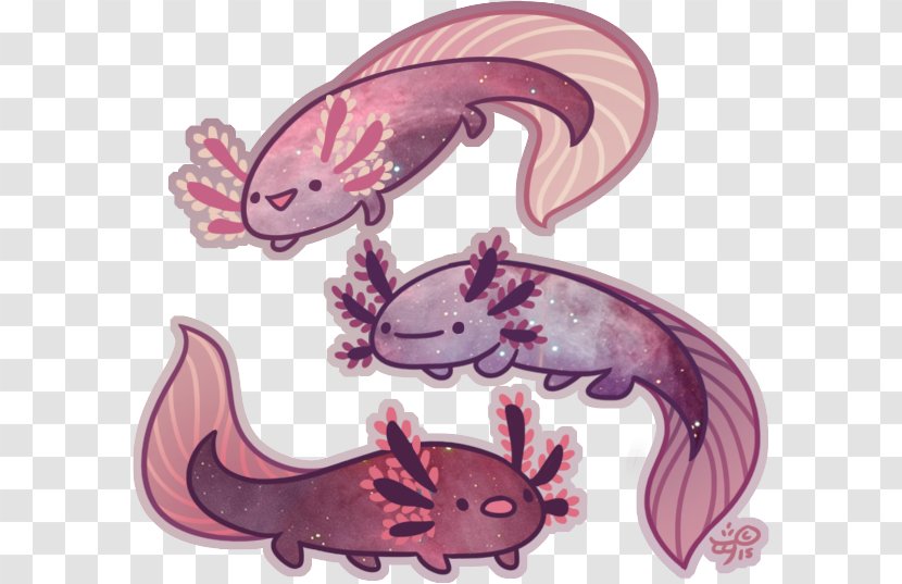 Axolotl Tiger Salamander Art Drawing Transparent PNG