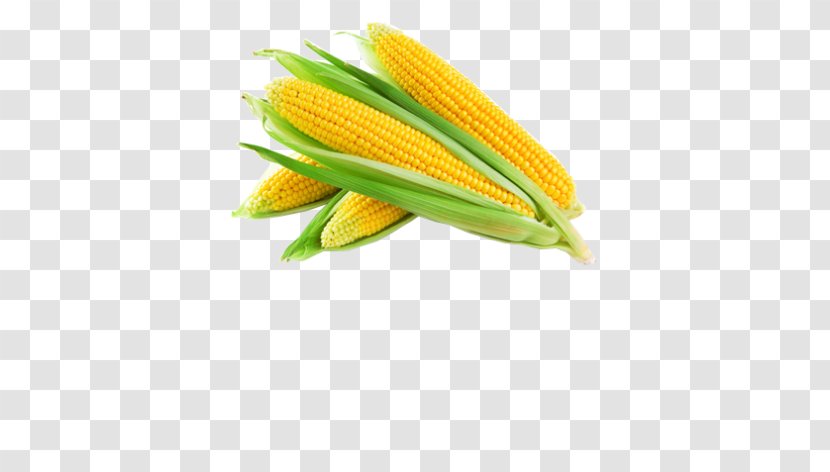 Vegetable Sweet Corn Kernel Food Cereal Transparent PNG