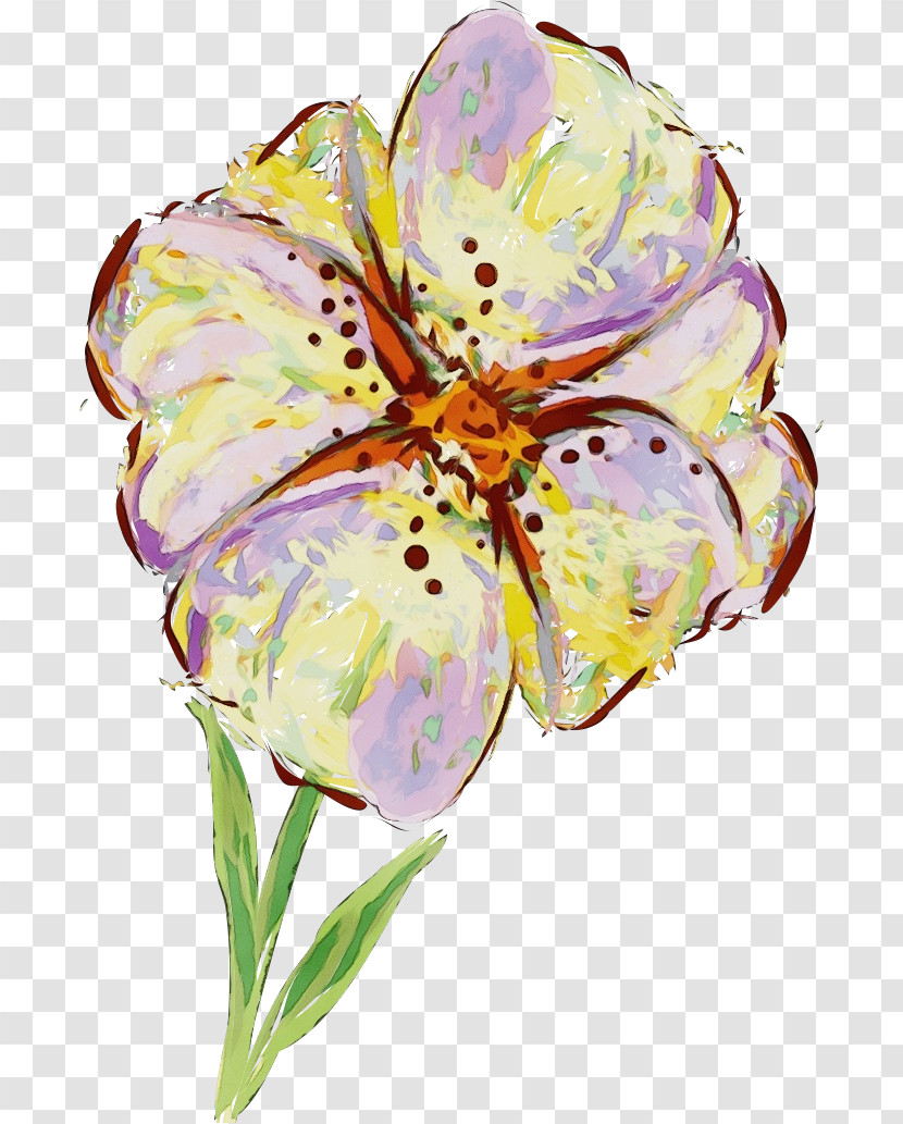 Flower Cut Flowers Watercolor Paint Plant Petal Transparent PNG