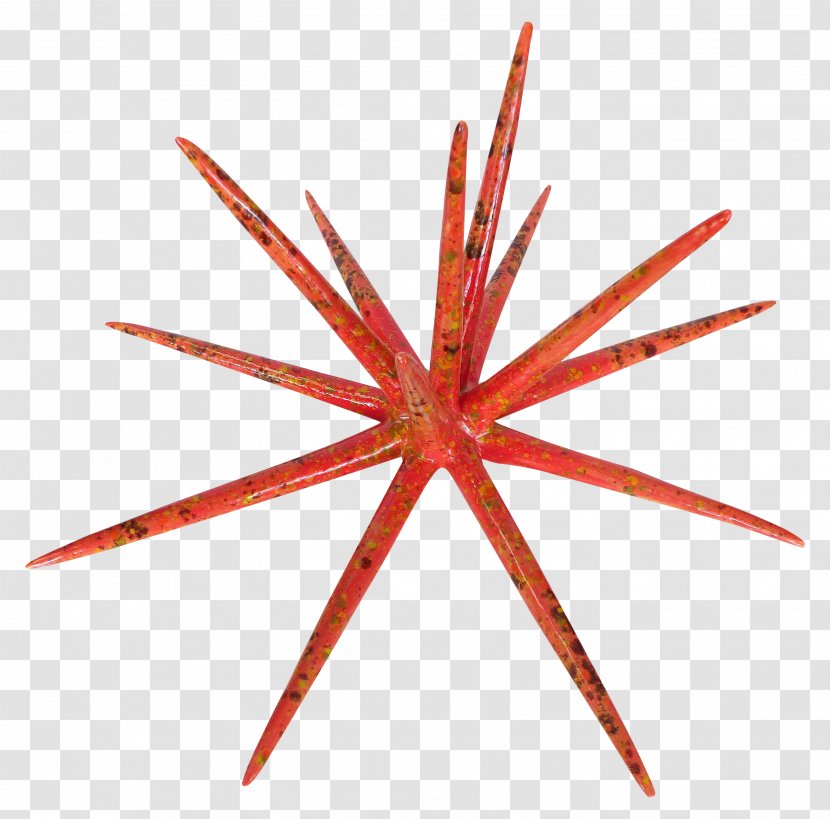 Red Star - July - Symmetry Transparent PNG