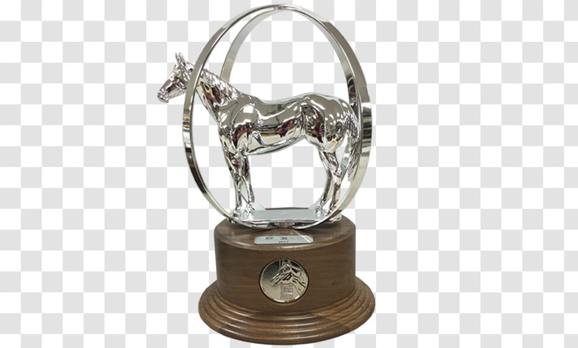American Quarter Horse Association Trophy Aqha World Show Award Commemorative Plaque - Champion Transparent PNG
