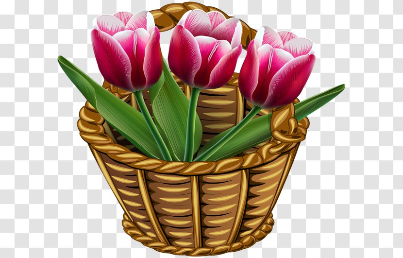 International Women's Day March 8 Ansichtkaart Holiday Woman - Flowerpot - Tulips Transparent PNG