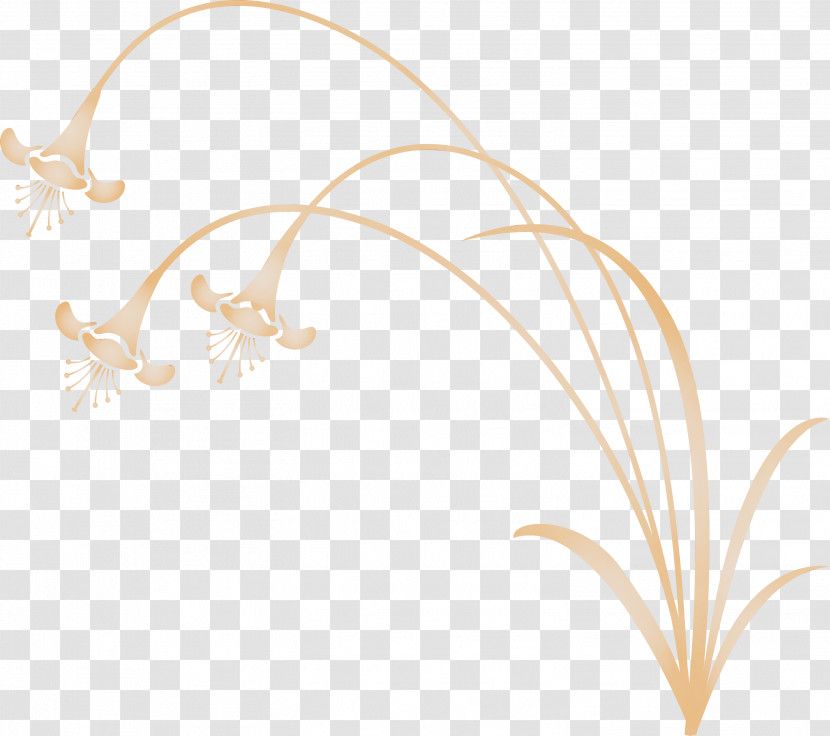 Plant Transparent PNG