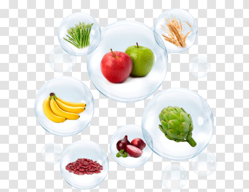 Prebiotic Probiotic Food Inulin Bifidobacterium - Fruit - Health Transparent PNG