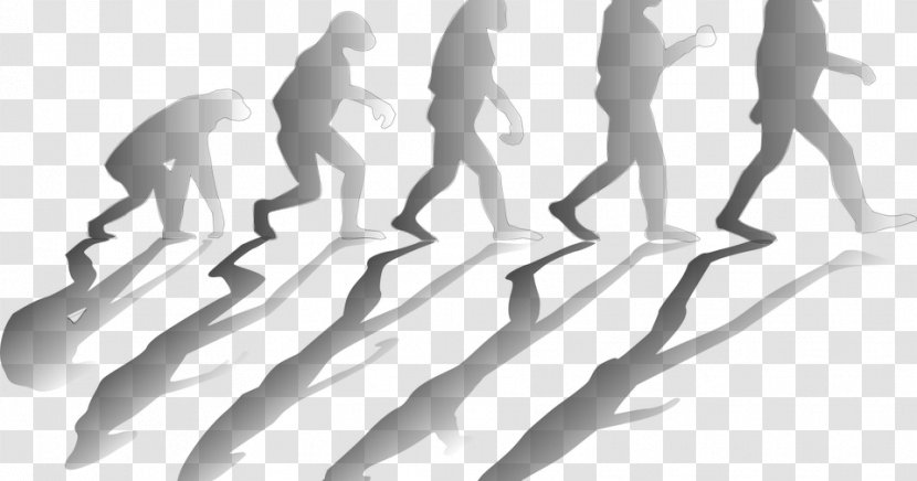 Human Evolution Social Media Evolutionary Psychology - Silhouette Transparent PNG