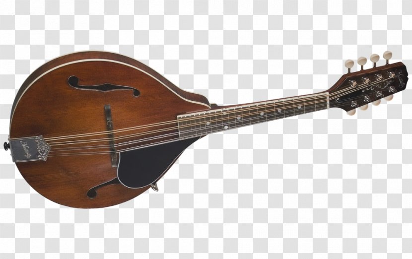 Mandolin Acoustic Guitar Tiple Cuatro Bass - Flower Transparent PNG