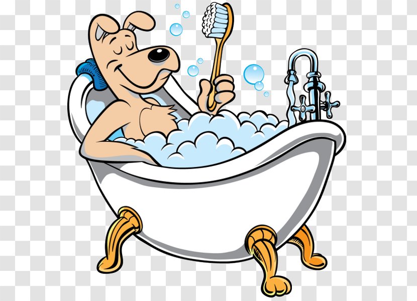 Poodle Puppy Cat Dog Grooming Clip Art - Funny Animal - Bath Cliparts Transparent PNG