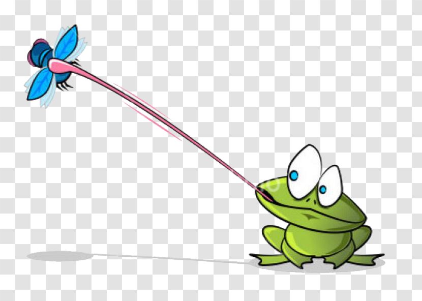 Poison Dart Frog Amphibian Cartoon Clip Art - Technology - Catch The Worm Transparent PNG