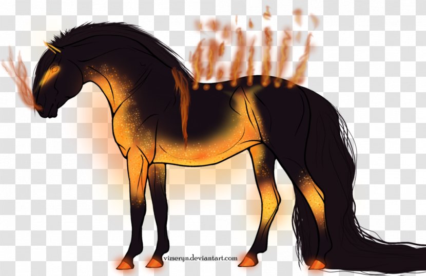 Mane Mustang Pony Stallion Halter - Snout Transparent PNG