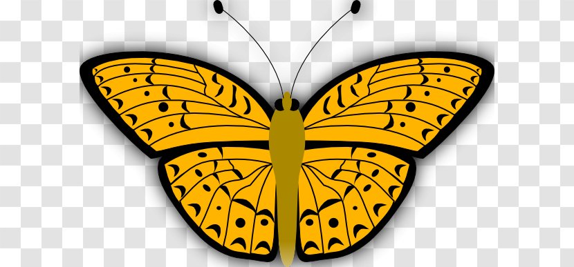 Butterfly Insect Clip Art - Moths And Butterflies - Pics Of Butterflys Transparent PNG