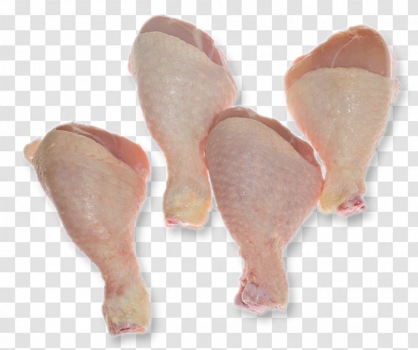 Ham Roast Chicken Buffalo Wing Meat - Frame Transparent PNG