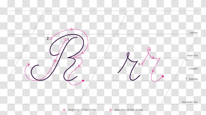 Brand Logo Line Pattern - Flower Transparent PNG