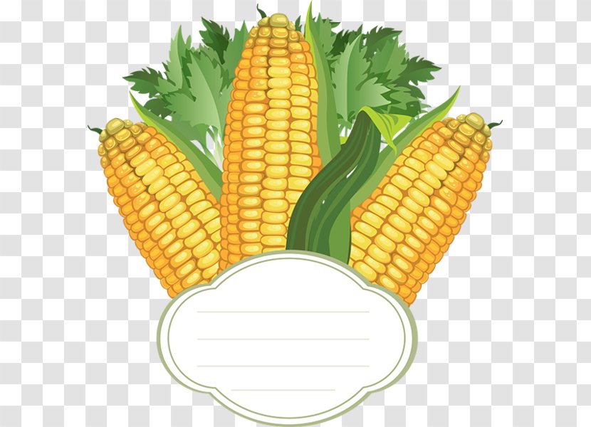 Corn On The Cob Maize - Sweet - Painting Transparent PNG