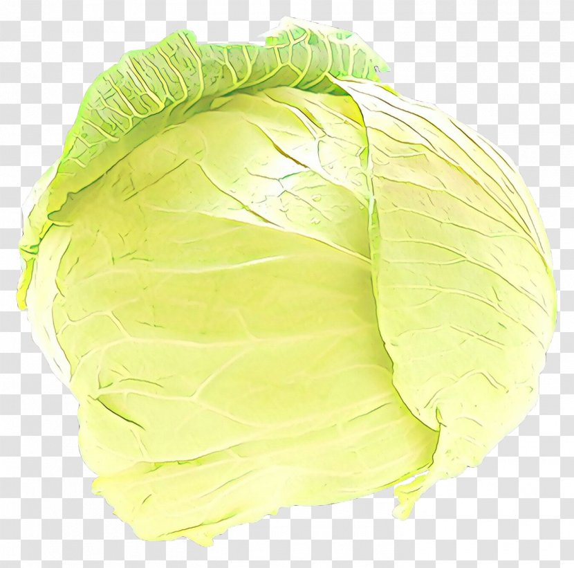 Cabbage Greens - Leaf Vegetable - Wild Transparent PNG
