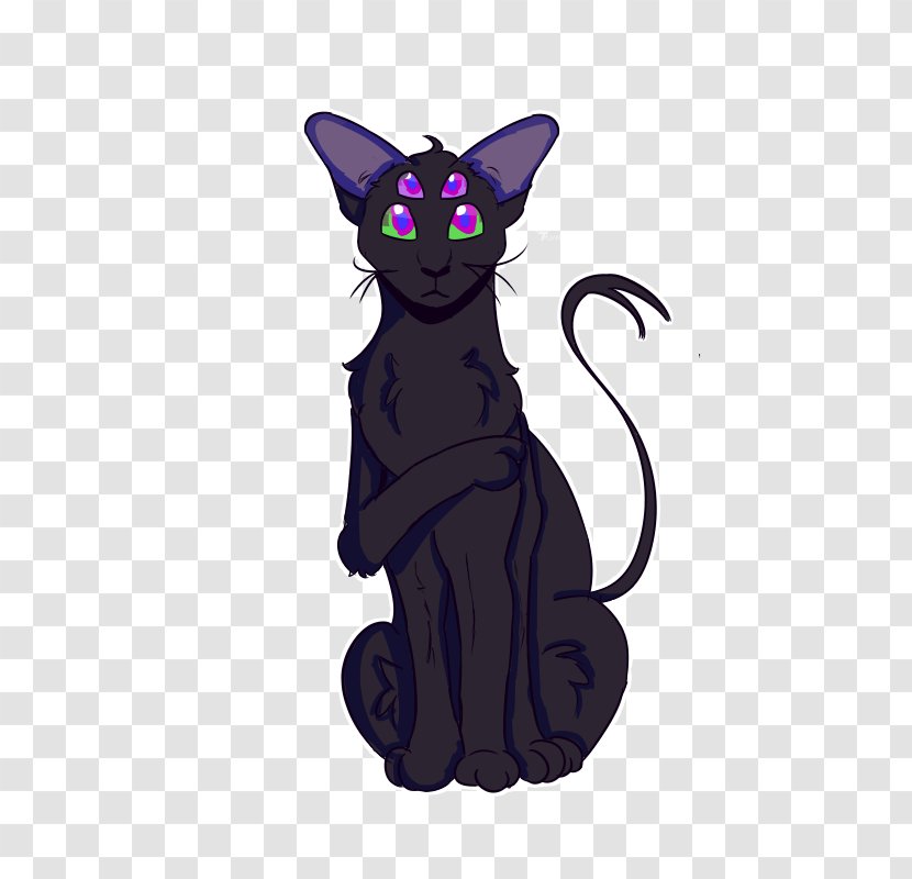 Black Cat Kitten Whiskers Canidae - Mammal - Open Mind Transparent PNG