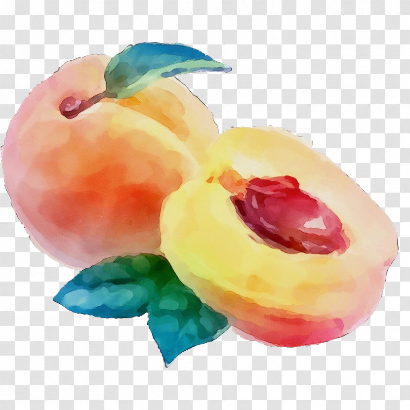 Watermelon Transparent PNG