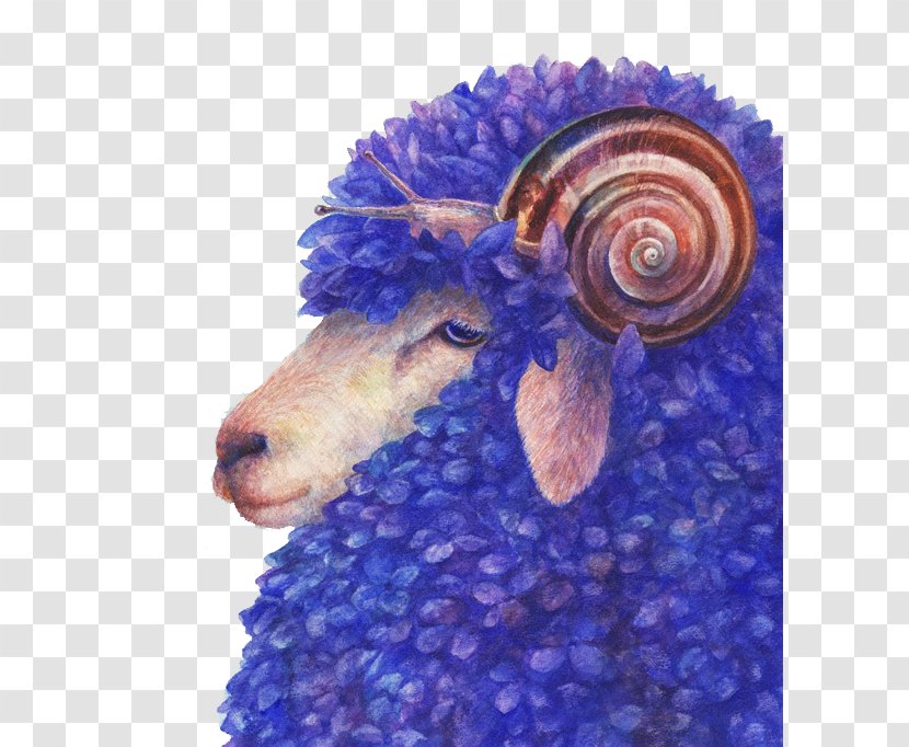 Suffolk Sheep Photography Art - Blue Transparent PNG