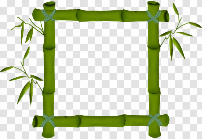 Picture Frames Photography Bamboe - Tableau - Bamboo Border Transparent PNG