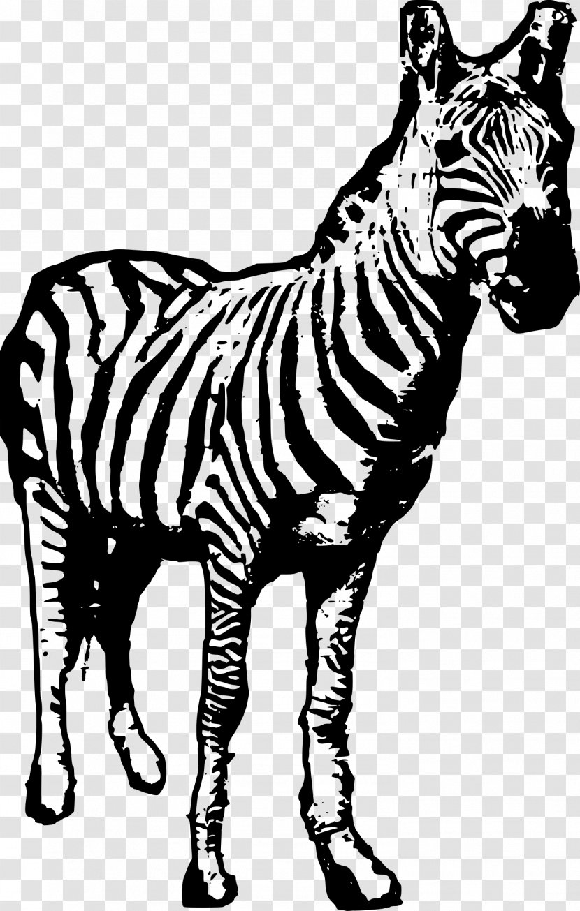 Tiger Black And White Clip Art - Mammal - Zebra Transparent PNG