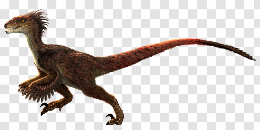 Velociraptor Primal Carnage: Extinction Tyrannosaurus Dinosaur - Rage - Bearded Dragon Transparent PNG