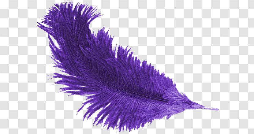 Feather Purple Mulberry - Lavender Transparent PNG
