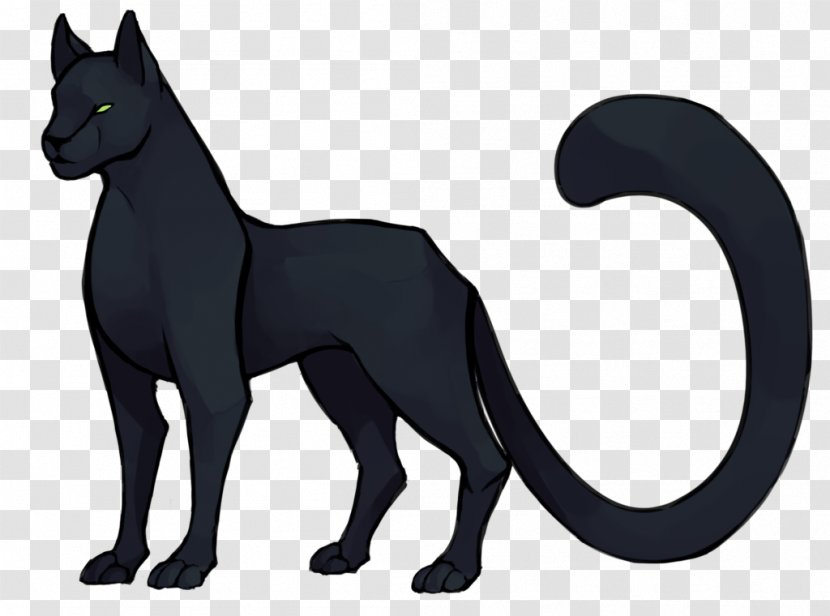 Whiskers Black Cat Dog Puma Transparent PNG