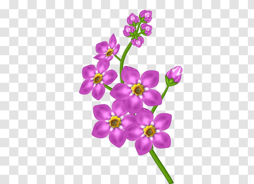 Purple Flower Clip Art - Floristry - Pink Transparent Clipart Transparent PNG