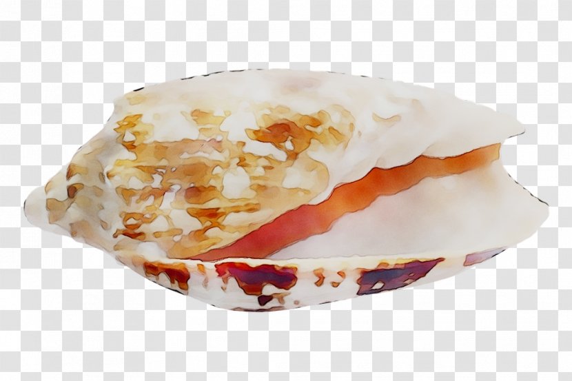 Cockle Seashell Wind Wave Shore - Baltic Macoma - Ocean Transparent PNG