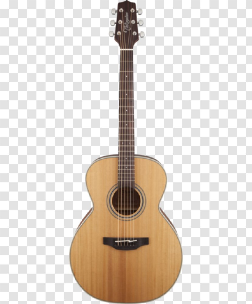 Steel-string Acoustic Guitar Takamine Guitars Acoustic-electric - Tree Transparent PNG