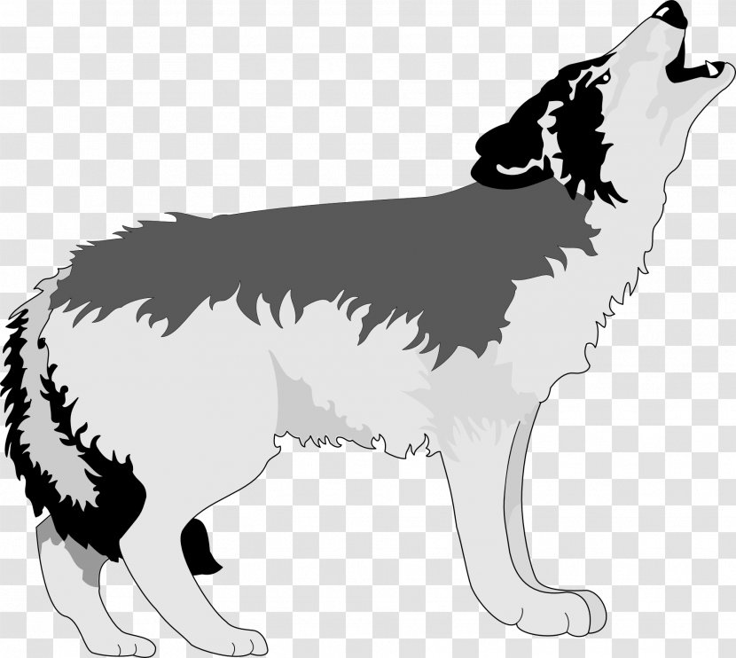 Gray Wolf Aullido Drawing Clip Art - Black And White Transparent PNG