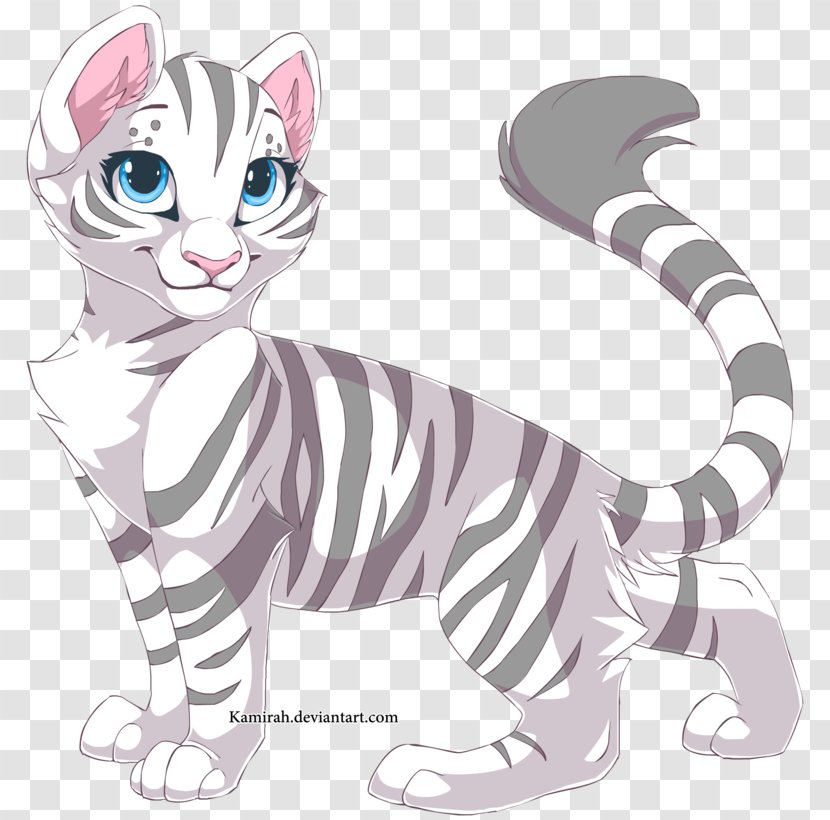 Kitten Whiskers Tiger Tabby Cat Felidae - Frame Transparent PNG