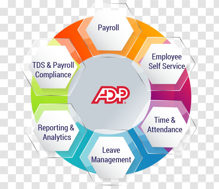 Outsourcing Payroll Human Resource Management System Organization - Football - Online Advertising Transparent PNG