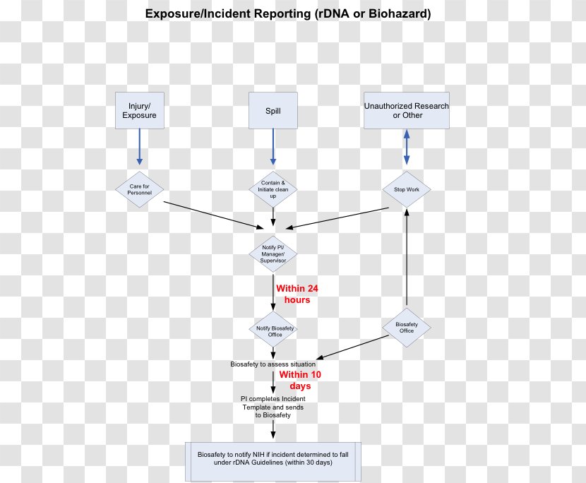 Incident Report Diagram Flowchart Template - Creative Transparent PNG
